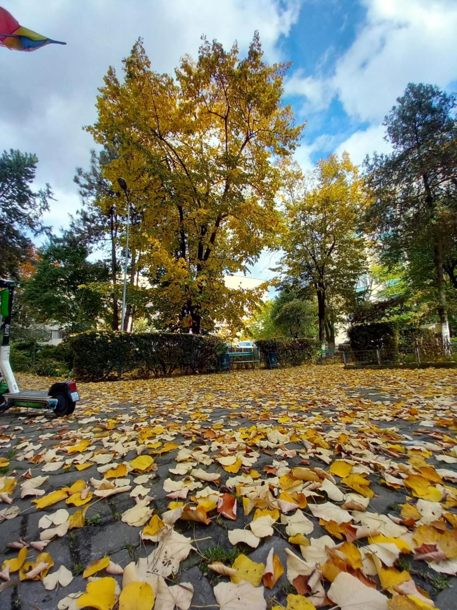 Apartament Dacia Targu Mures Exterior foto